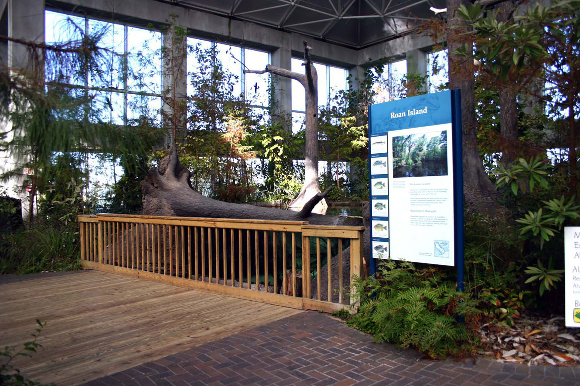 Fort Fisher Aquarium