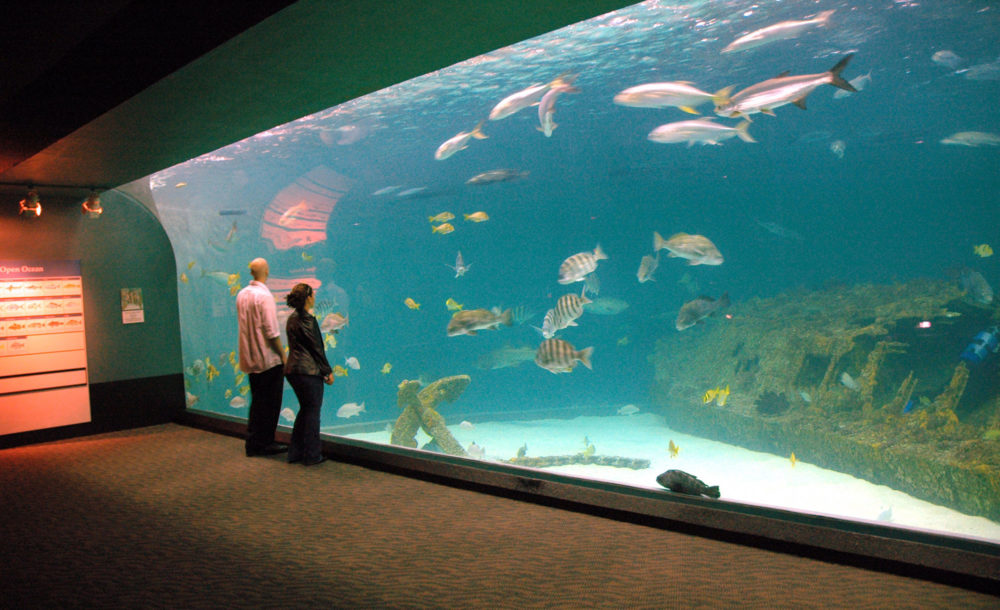 Roanoke Island Aquarium