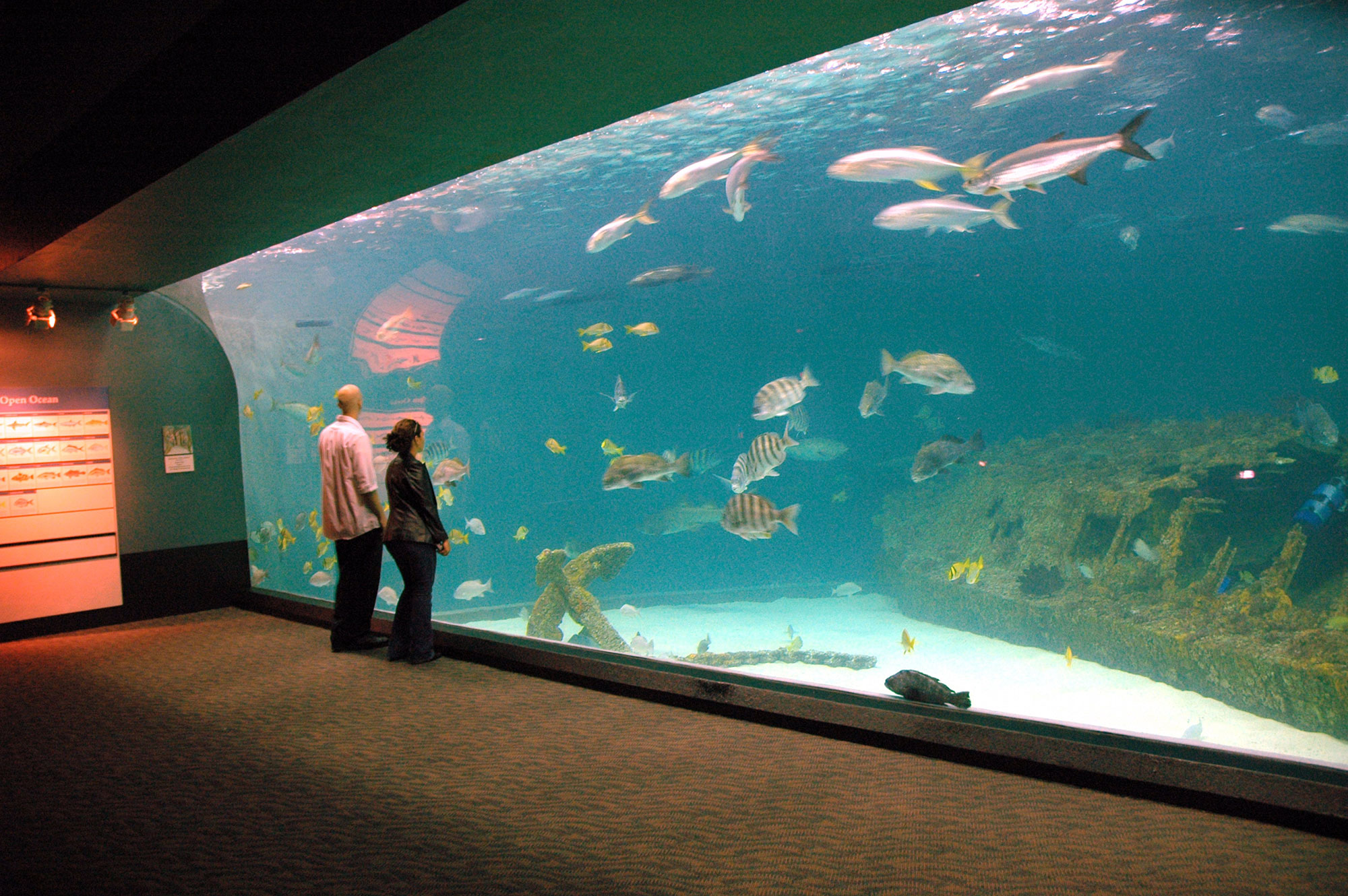 Roanoke Island Aquarium